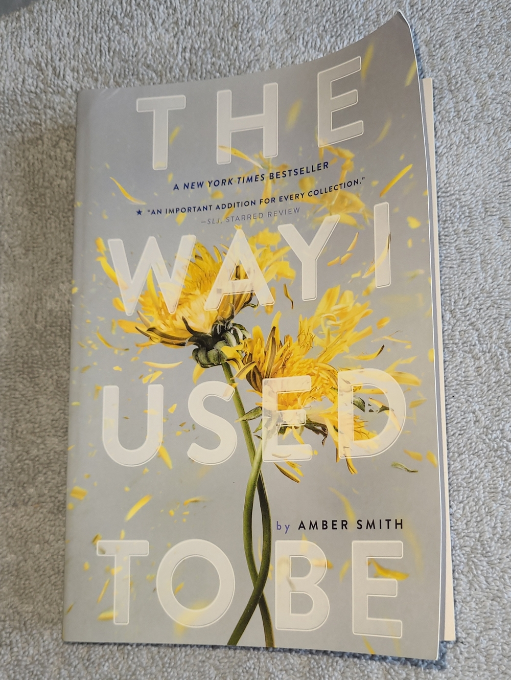 "The Way I Used to Be"